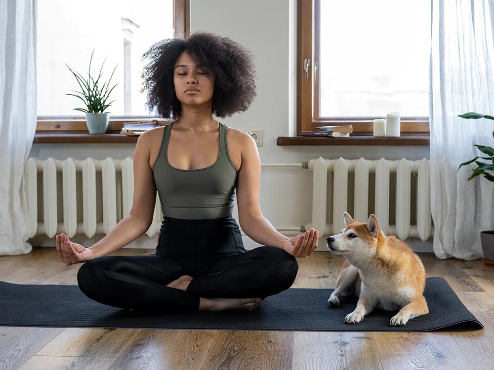 pexels-cottonbro-4047042